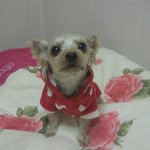 우리집 분위기 메이커 또순이 그리고 순간<b>xx</b>