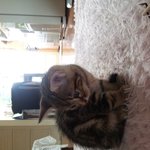 답변부탁드립니다