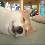 이런 직장상사! 진짜 너무너무 짜증난다!!!!!!! (<b>best</b> 5)