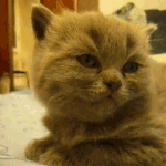 사진有)글쓴이가 겪은 기묘한 이야기 15