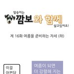 <b>배변</b>패드 절약방법