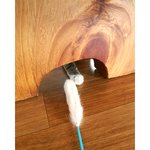 스모키+<b>부농</b>부농 코 고양이 복덩이에요*^^*