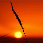 경제적인 임플란트 추천 룡<b>플란트</b>치과그룹