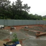 나천사 희망해 모금후기