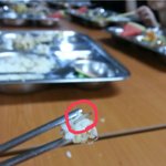 급식에서<b>벌레</b>나옴ㅠㅠ