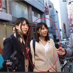 일본 엘프여고생