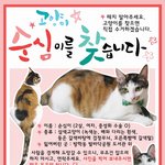 27일째] 고양이 탐정들에게 4번 <b>의뢰</b>한 이야기 + 순심이의 슬픈...