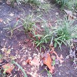 <b>gs25</b> 실망임;