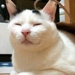 <b>이플</b>단미님~용배찡~구름아~^^