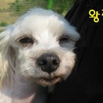 유기견이라는 <b>낙인</b>