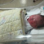 +추가)방울이 출산후기><