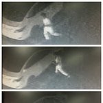 7월13일(토) 목동 차량도난 꼭봐주세요 흰바지흰티 개셍퀴!!!...