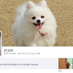 <b>반려동물</b>은 위대하다. 한글이 번외판