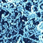 올바른<b>칫솔</b>관리법과 소금양치?