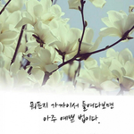 사랑이 몬가요?