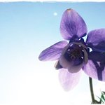 엄마를 찾는 사람들 - 엄마 찾아 삼<b>만</b> <b>리</b> (하나님의교회 안증회)