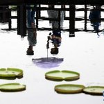 아름다운 중국 여름 풍경