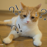 유봉이네 집사의 커밍아웃