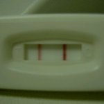 순한경구<b>피임약</b> 에이리스 복용해 본 사람?