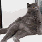 설렘<b>주의</b>! 송중기 <b>방</b>에서 듣는~ 송중기 시 한소절^^