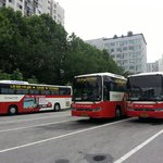 21여대생 혼자 <b>도심</b>공항리무진 이용후기~