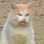 엄마가 사줬어요ㅠㅠ 애플힙 만드는 <b>힙</b><b>업</b>팬티