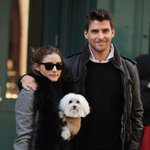 헐리웃에서 젤 유명한 강아지 중 한 <b>마리</b>