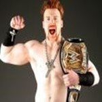 디씨용어로 보는 wwe 프로레슬링 선수들...