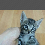 '지토리를소개합니다'