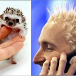 웃긴헤어스타일.jpg 대박 ㅋㅋㅋ