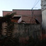 내가 <b>노산</b>방뇨를 하는데