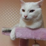 나의 <b>반려자</b>2