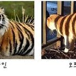<b>악플러</b>의 이중성