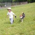 너무 예쁜 <b>시바견</b>과 아기-(4)