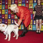 gd의 무한 애정공세 받는 가호 닮은꼴 <b>라소</b>!!