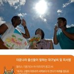 "외국인들아 여기가 <b>디스</b> 이즈 대구다..."jpg