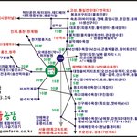 강원도체험여행지, 여름휴가지로 복숭아농장 여행기