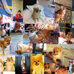 2013년 7월 19일 아침 출근길 수원시 <b>조원동</b> 영화초등학교 정문