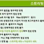 스트리밍 하는법