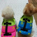 단지<b>요지</b>3탄^^ 여름휴가준비끝냈어요^^