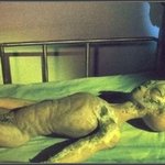 외계인 존재 믿으시는분 !!