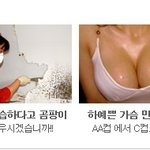 몰카 천국 인터넷 언론사들 (성인 <b>배너</b>광고 출처를 찾아보다)