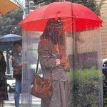 <b>열도</b>의 괴상망측한 사진들.jpg