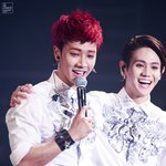 [비스트] 꼬꼬마형제