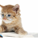 "술주정의 열가지 유형"