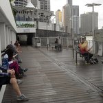 [LIFE]호주-브리스번 교통수단 프리페리 이용하기!!