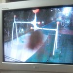아파트놀이터<b>cctv</b>에 거미붙음 사진있음ㅇㅇ