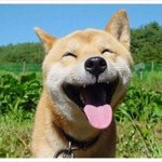 내 <b>옆태</b>는...