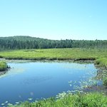 [<b>LIFE</b>]캐나다- 요즘 대세 캠핑! 캐나다에서 즐기는 캠핑은?