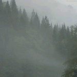 <b>물살</b>을 가르는 힘찬 연어..